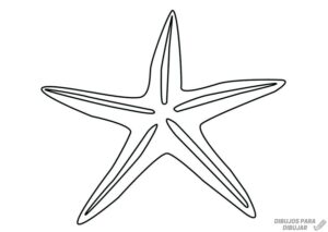 estrellas de mar dibujos