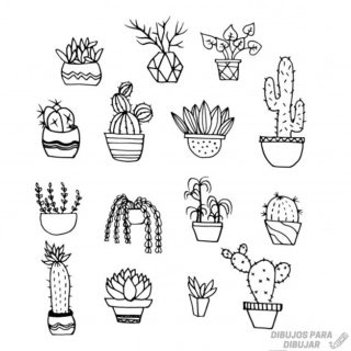 磊 Dibujos de cactus【190】Lindas y a lápiz