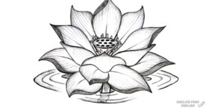flor de loto animada