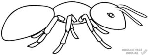 fotos de hormigas animadas