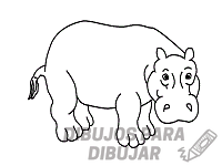 hipopotamo para dibujar