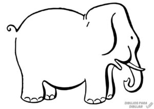 imagen elefante