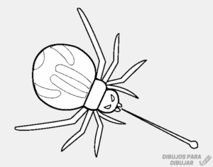 imagenes de arañas animadas