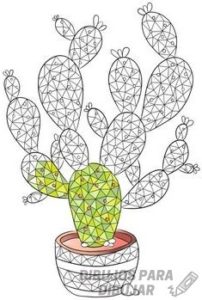 imagenes de cactus florecidos