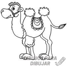 imagenes de camellos animados