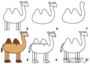 imagenes de camellos para colorear