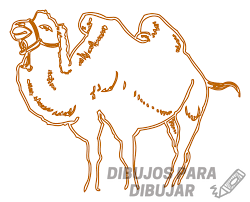 imagenes de camellos para dibujar