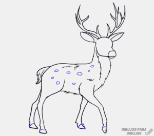 imagenes de ciervos para dibujar