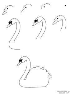 imagenes de cisnes en forma de corazon