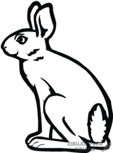 imagenes de conejos para dibujar