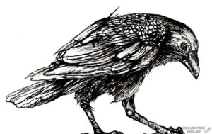 imagenes de cuervos goticos