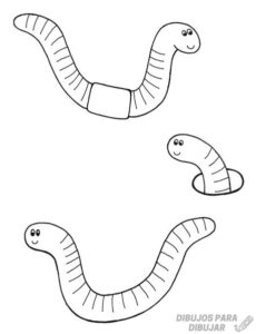 imagenes de gusanos para dibujar