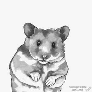 imagenes de hamster animados