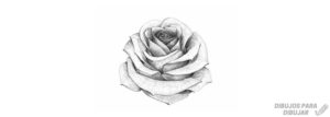 imagenes de ramos de rosas