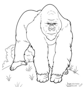 imagenes gorilas animados