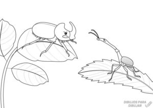insectos caricatura