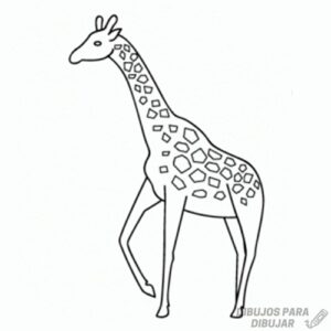 jirafa caricatura