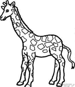 jirafa dibujo infantil