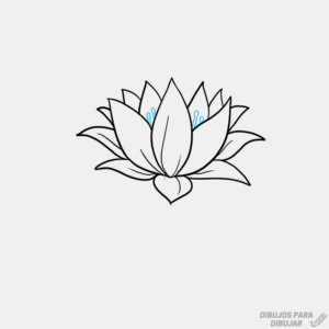 logo flor de loto