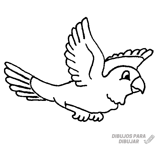 🥇 Dibujos de Aves【190】Lindas y a lápiz