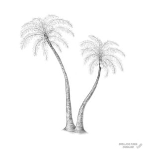 pinturas de playas con palmeras