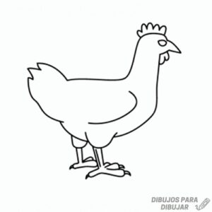 pollo dibujo