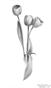 tulipanes animados