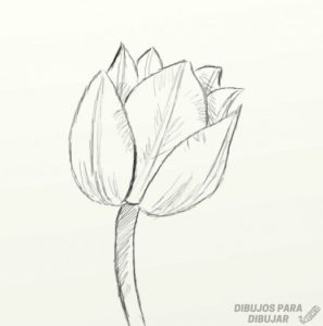 tulipanes para pintar al oleo