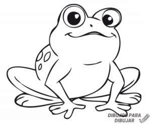 como dibujar una rana