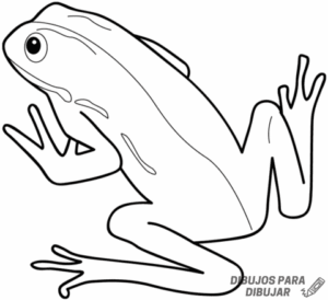 cómo se dibuja una rana