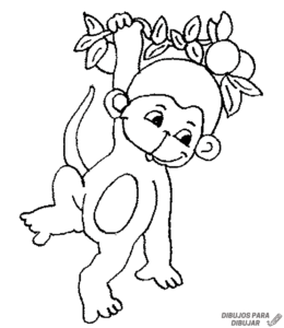 dibujos de monkey