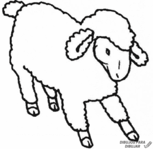 dibujos de ovejas para colorear