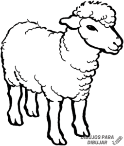 dibujos de ovejas para niños