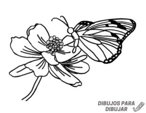 dibujos para pintar mariposas