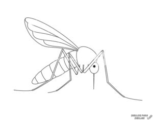 imagen mosquito