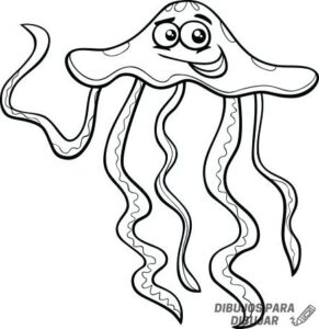 imagenes de medusa animal