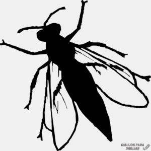 imagenes de moscas en caricatura