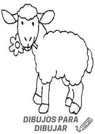 imagenes de ovejas para colorear