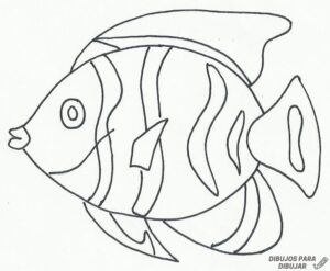 imagenes de peces para colorear