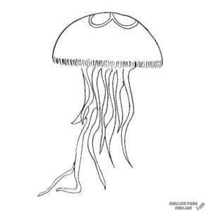 medusa colorear
