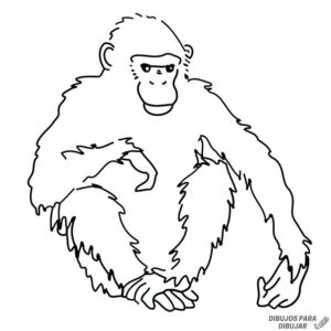 mico dibujo