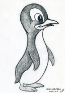 pinguino bebe dibujo