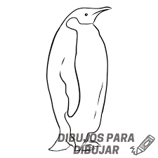 pinguino emperador dibujo