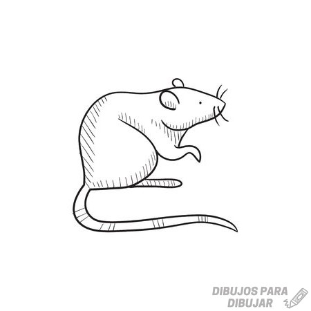 🥇【+2150】Los mejores dibujos de Ratones sencillos ⚡️