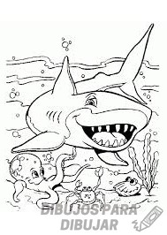 como dibujar un tiburon blanco
