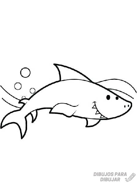 🥇【+2150】Los mejores dibujos de Tiburones sencillos ⚡️