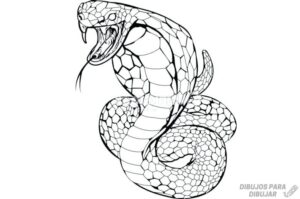 como dibujar una serpiente facil