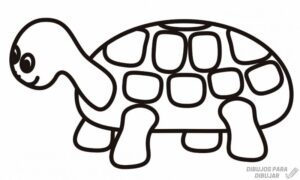 como dibujar una tortuga facil