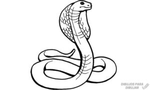 como se dibuja una serpiente