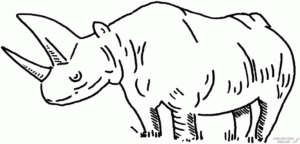 dibujar un rinoceronte scaled 1